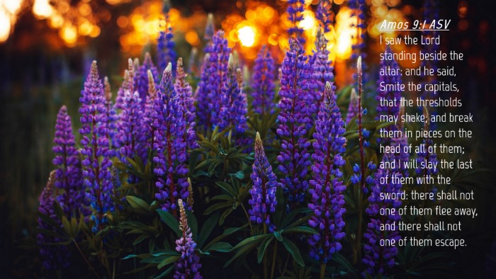 Picture 04 - Amos 9:1 ASV Desktop Wallpaper - I saw the Lord standing beside the altar: and he - Desktop Bible Verse Wallpaper