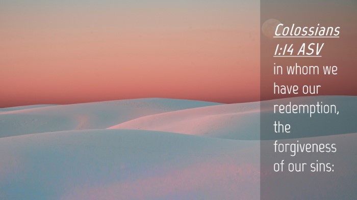 Picture 04 - Colossians 1:14 ASV Desktop Wallpaper - in whom we have our redemption, the forgiveness - Desktop Bible Verse Wallpaper