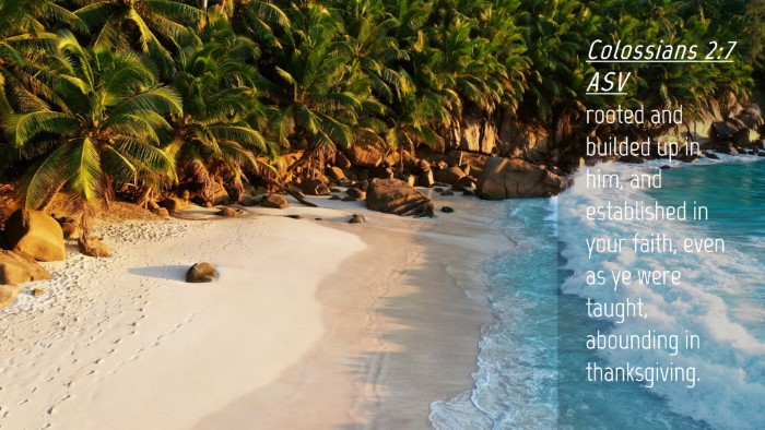 Picture 04 - Colossians 2:7 ASV Desktop Wallpaper - rooted and builded up in him, and established in - Desktop Bible Verse Wallpaper