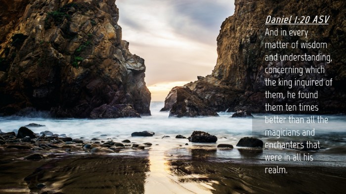 Picture 04 - Daniel 1:20 ASV Desktop Wallpaper - And in every matter of wisdom and understanding, - Desktop Bible Verse Wallpaper