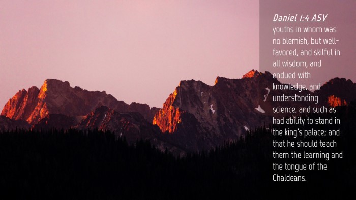 Picture 04 - Daniel 1:4 ASV Desktop Wallpaper - youths in whom was no blemish, but well-favored, - Desktop Bible Verse Wallpaper