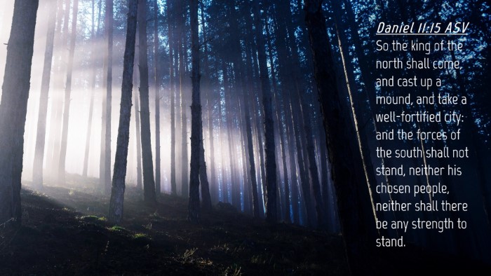 Picture 04 - Daniel 11:15 ASV Desktop Wallpaper - So the king of the north shall come, and cast up - Desktop Bible Verse Wallpaper