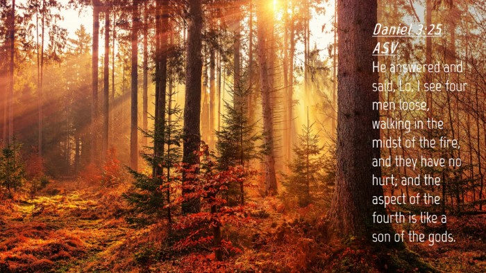 Picture 04 - Daniel 3:25 ASV Desktop Wallpaper - He answered and said, Lo, I see four men loose, - Desktop Bible Verse Wallpaper