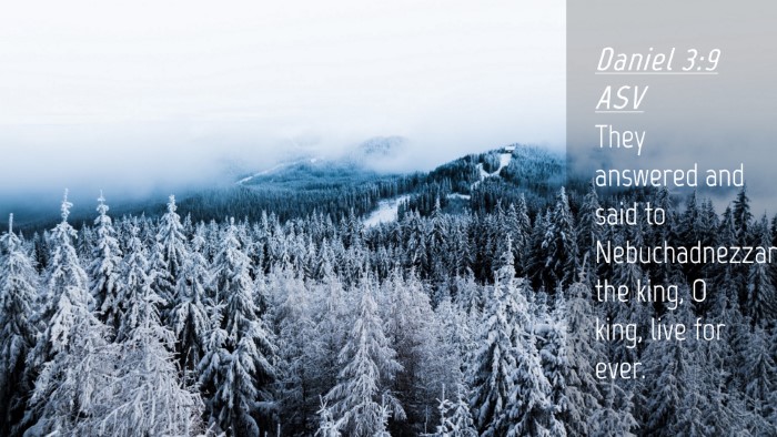 Picture 04 - Daniel 3:9 ASV Desktop Wallpaper - They answered and said to Nebuchadnezzar the - Desktop Bible Verse Wallpaper