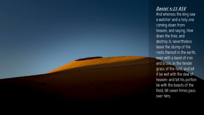 Picture 04 - Daniel 4:23 ASV Desktop Wallpaper - And whereas the king saw a watcher and a holy one - Desktop Bible Verse Wallpaper