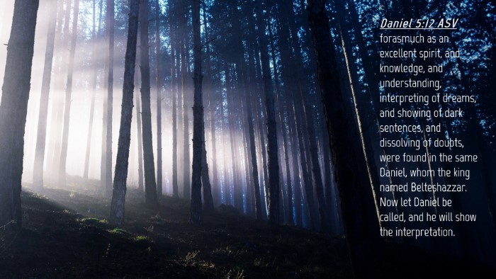 Picture 04 - Daniel 5:12 ASV Desktop Wallpaper - forasmuch as an excellent spirit, and knowledge, - Desktop Bible Verse Wallpaper