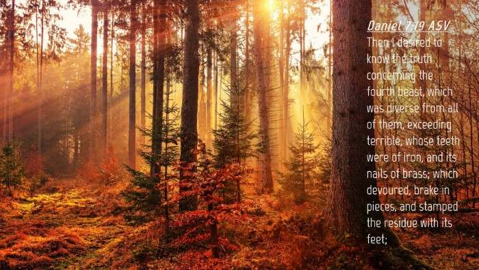 Picture 04 - Daniel 7:19 ASV Desktop Wallpaper - Then I desired to know the truth concerning the - Desktop Bible Verse Wallpaper