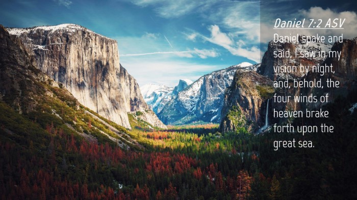 Picture 04 - Daniel 7:2 ASV Desktop Wallpaper - Daniel spake and said, I saw in my vision by - Desktop Bible Verse Wallpaper