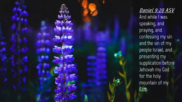 Picture 04 - Daniel 9:20 ASV Desktop Wallpaper - And while I was speaking, and praying, and - Desktop Bible Verse Wallpaper