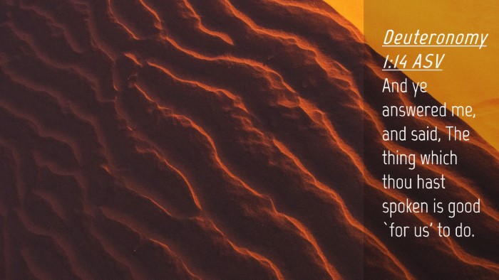 Picture 04 - Deuteronomy 1:14 ASV Desktop Wallpaper - And ye answered me, and said, The thing which - Desktop Bible Verse Wallpaper