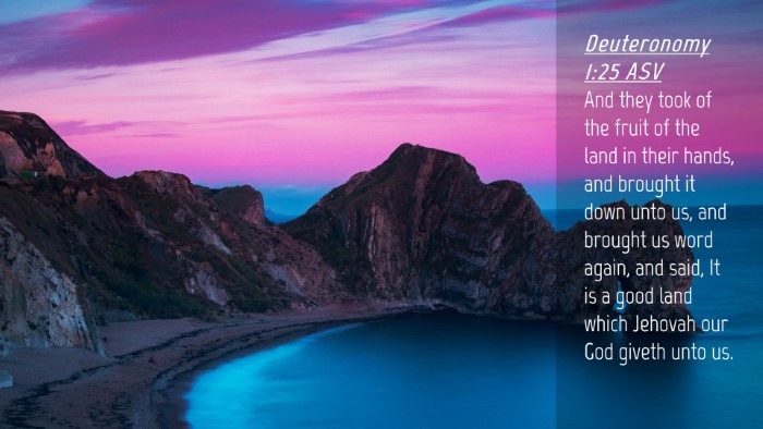 Picture 04 - Deuteronomy 1:25 ASV Desktop Wallpaper - And they took of the fruit of the land in their - Desktop Bible Verse Wallpaper