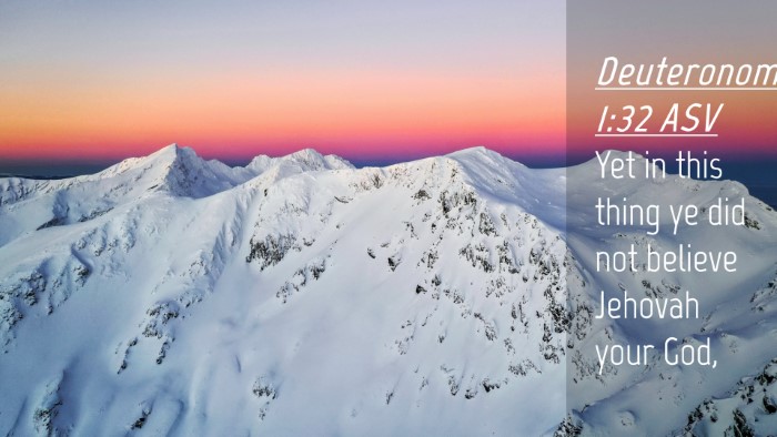 Picture 04 - Deuteronomy 1:32 ASV Desktop Wallpaper - Yet in this thing ye did not believe Jehovah your - Desktop Bible Verse Wallpaper