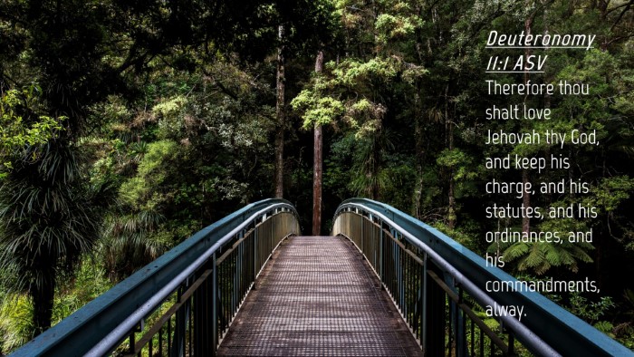 Picture 04 - Deuteronomy 11:1 ASV Desktop Wallpaper - Therefore thou shalt love Jehovah thy God, and - Desktop Bible Verse Wallpaper
