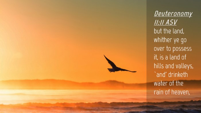 Picture 04 - Deuteronomy 11:11 ASV Desktop Wallpaper - but the land, whither ye go over to possess it, - Desktop Bible Verse Wallpaper