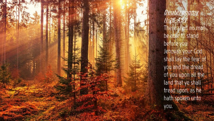Picture 04 - Deuteronomy 11:25 ASV Desktop Wallpaper - There shall no man be able to stand before you: - Desktop Bible Verse Wallpaper