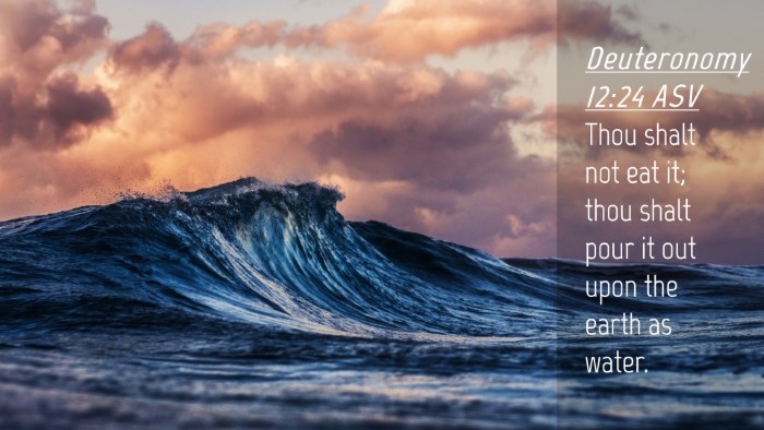 Picture 04 - Deuteronomy 12:24 ASV Desktop Wallpaper - Thou shalt not eat it; thou shalt pour it out - Desktop Bible Verse Wallpaper