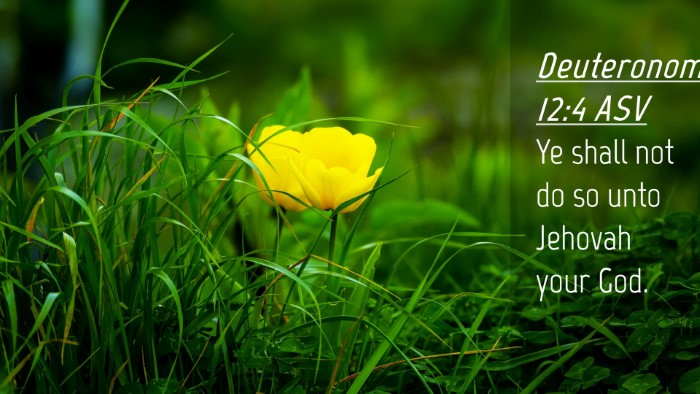 Picture 04 - Deuteronomy 12:4 ASV Desktop Wallpaper - Ye shall not do so unto Jehovah your - Desktop Bible Verse Wallpaper