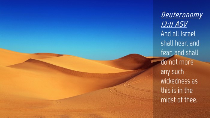 Picture 04 - Deuteronomy 13:11 ASV Desktop Wallpaper - And all Israel shall hear, and fear, and shall do - Desktop Bible Verse Wallpaper