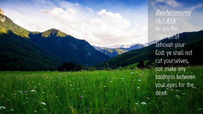 Picture 04 - Deuteronomy 14:1 ASV Desktop Wallpaper - Ye are the children of Jehovah your God: ye shall - Desktop Bible Verse Wallpaper