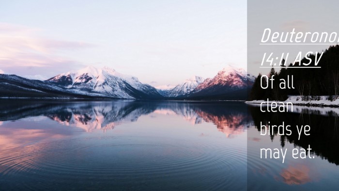 Picture 04 - Deuteronomy 14:11 ASV Desktop Wallpaper - Of all clean birds ye may - Desktop Bible Verse Wallpaper