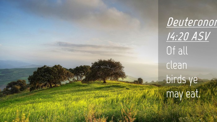 Picture 04 - Deuteronomy 14:20 ASV Desktop Wallpaper - Of all clean birds ye may - Desktop Bible Verse Wallpaper