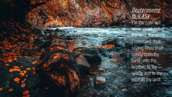 Picture 04 - Deuteronomy 15:11 ASV Desktop Wallpaper - For the poor will never cease out of the land: - Desktop Bible Verse Wallpaper