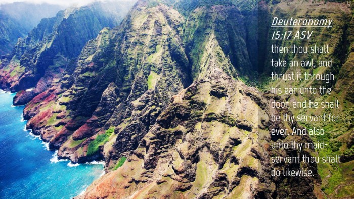 Picture 04 - Deuteronomy 15:17 ASV Desktop Wallpaper - then thou shalt take an awl, and thrust it - Desktop Bible Verse Wallpaper