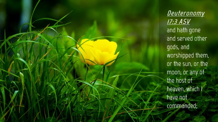 Picture 04 - Deuteronomy 17:3 ASV Desktop Wallpaper - and hath gone and served other gods, and - Desktop Bible Verse Wallpaper