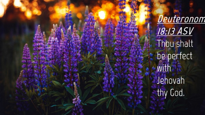 Picture 04 - Deuteronomy 18:13 ASV Desktop Wallpaper - Thou shalt be perfect with Jehovah thy - Desktop Bible Verse Wallpaper