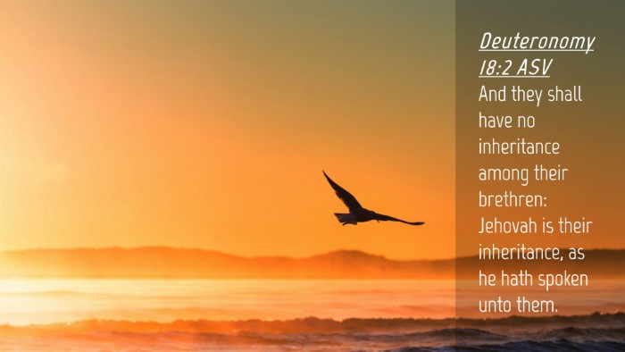 Picture 04 - Deuteronomy 18:2 ASV Desktop Wallpaper - And they shall have no inheritance among their - Desktop Bible Verse Wallpaper