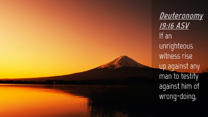 Picture 04 - Deuteronomy 19:16 ASV Desktop Wallpaper - If an unrighteous witness rise up against any man - Desktop Bible Verse Wallpaper