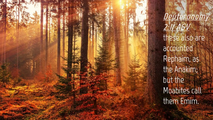 Picture 04 - Deuteronomy 2:11 ASV Desktop Wallpaper - these also are accounted Rephaim, as the Anakim; - Desktop Bible Verse Wallpaper