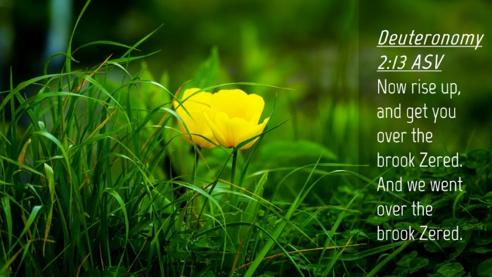 Picture 04 - Deuteronomy 2:13 ASV Desktop Wallpaper - Now rise up, and get you over the brook Zered. - Desktop Bible Verse Wallpaper