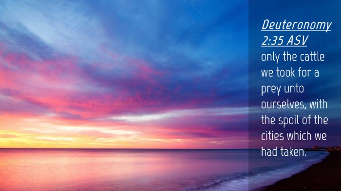 Picture 04 - Deuteronomy 2:35 ASV Desktop Wallpaper - only the cattle we took for a prey unto - Desktop Bible Verse Wallpaper