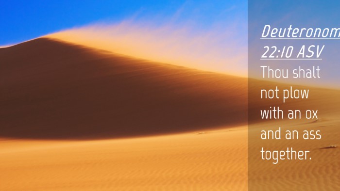 Picture 04 - Deuteronomy 22:10 ASV Desktop Wallpaper - Thou shalt not plow with an ox and an ass - Desktop Bible Verse Wallpaper