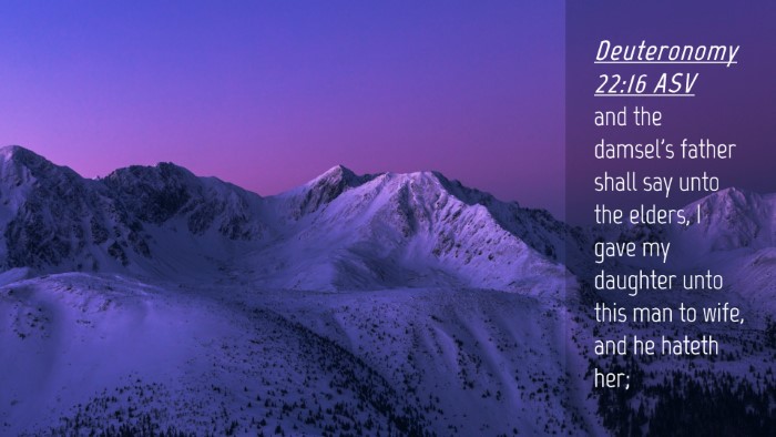 Picture 04 - Deuteronomy 22:16 ASV Desktop Wallpaper - and the damsel's father shall say unto the - Desktop Bible Verse Wallpaper