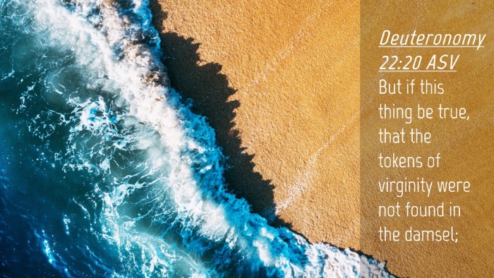Picture 04 - Deuteronomy 22:20 ASV Desktop Wallpaper - But if this thing be true, that the tokens of - Desktop Bible Verse Wallpaper