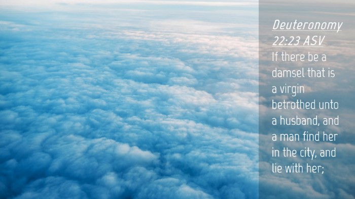 Picture 04 - Deuteronomy 22:23 ASV Desktop Wallpaper - If there be a damsel that is a virgin betrothed - Desktop Bible Verse Wallpaper
