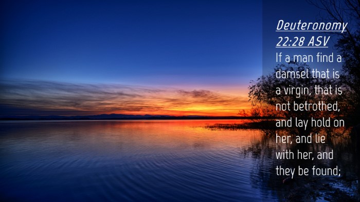 Picture 04 - Deuteronomy 22:28 ASV Desktop Wallpaper - If a man find a damsel that is a virgin, that is - Desktop Bible Verse Wallpaper
