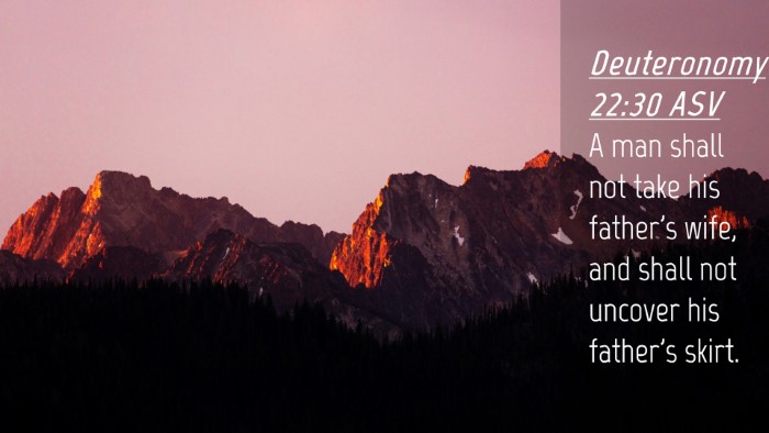 Picture 04 - Deuteronomy 22:30 ASV Desktop Wallpaper - A man shall not take his father's wife, and shall - Desktop Bible Verse Wallpaper