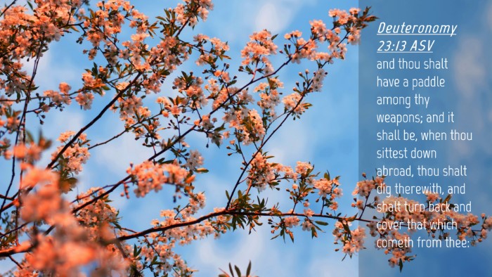 Picture 04 - Deuteronomy 23:13 ASV Desktop Wallpaper - and thou shalt have a paddle among thy weapons; - Desktop Bible Verse Wallpaper