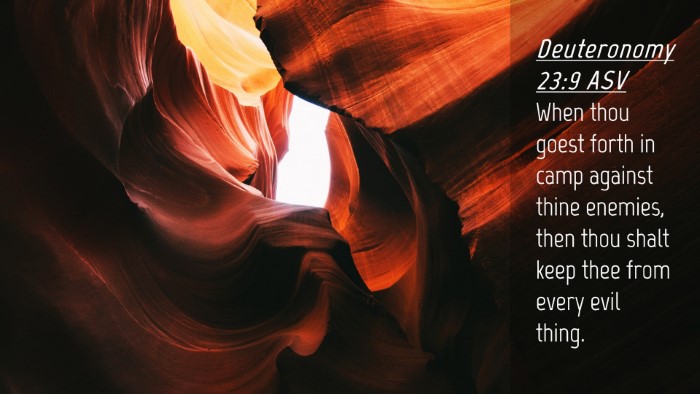 Picture 04 - Deuteronomy 23:9 ASV Desktop Wallpaper - When thou goest forth in camp against thine - Desktop Bible Verse Wallpaper