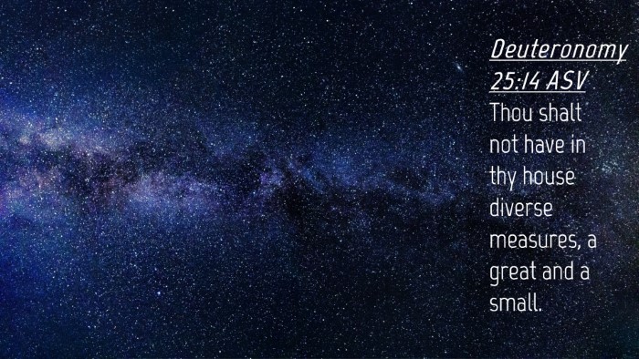Picture 04 - Deuteronomy 25:14 ASV Desktop Wallpaper - Thou shalt not have in thy house diverse - Desktop Bible Verse Wallpaper