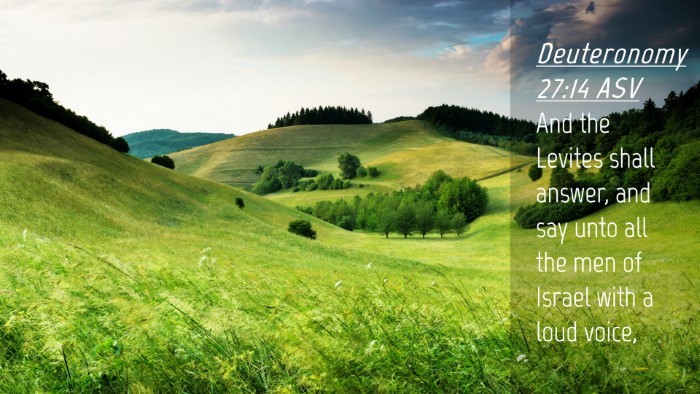 Picture 04 - Deuteronomy 27:14 ASV Desktop Wallpaper - And the Levites shall answer, and say unto all - Desktop Bible Verse Wallpaper