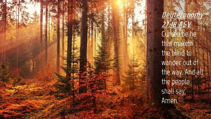 Picture 04 - Deuteronomy 27:18 ASV Desktop Wallpaper - Cursed be he that maketh the blind to wander out - Desktop Bible Verse Wallpaper
