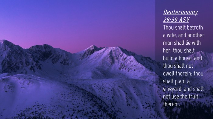 Picture 04 - Deuteronomy 28:30 ASV Desktop Wallpaper - Thou shalt betroth a wife, and another man shall - Desktop Bible Verse Wallpaper