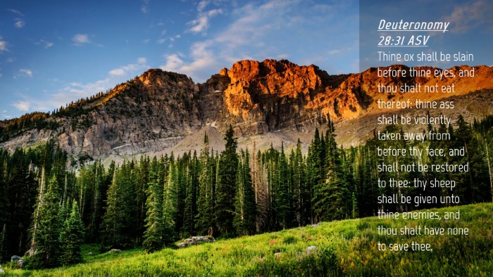 Picture 04 - Deuteronomy 28:31 ASV Desktop Wallpaper - Thine ox shall be slain before thine eyes, and - Desktop Bible Verse Wallpaper