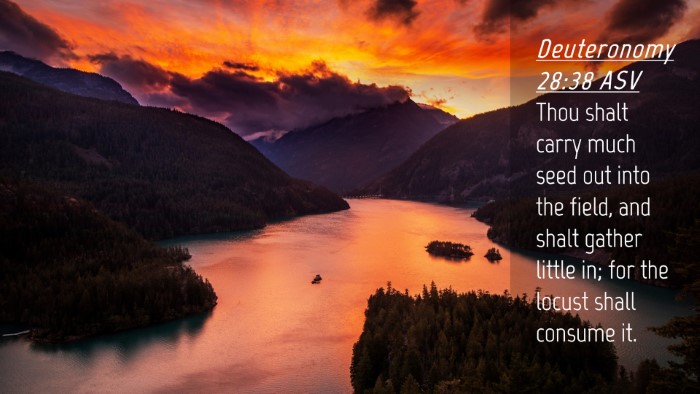 Picture 04 - Deuteronomy 28:38 ASV Desktop Wallpaper - Thou shalt carry much seed out into the field, - Desktop Bible Verse Wallpaper
