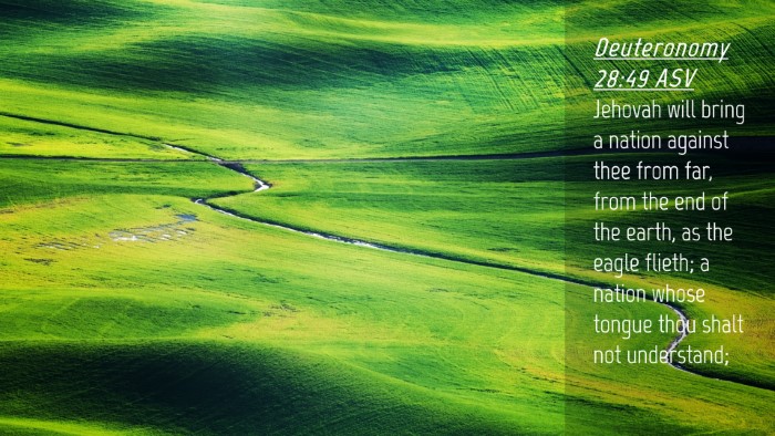 Picture 04 - Deuteronomy 28:49 ASV Desktop Wallpaper - Jehovah will bring a nation against thee from - Desktop Bible Verse Wallpaper