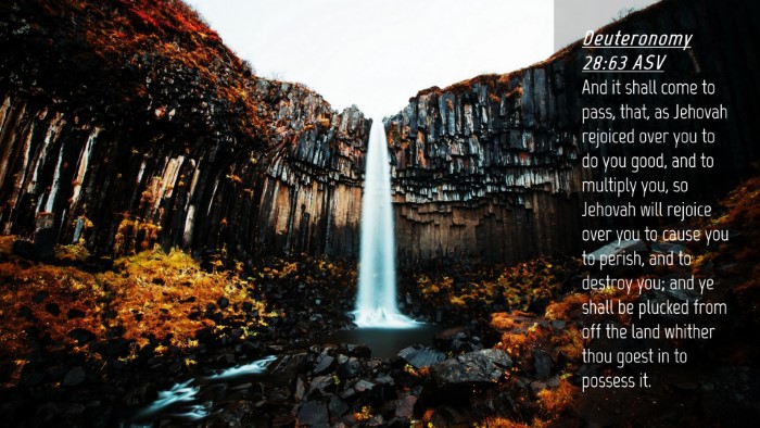 Picture 04 - Deuteronomy 28:63 ASV Desktop Wallpaper - And it shall come to pass, that, as Jehovah - Desktop Bible Verse Wallpaper